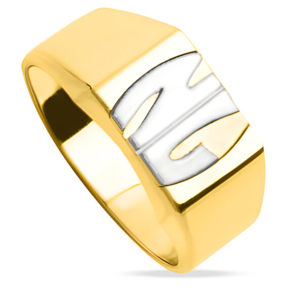 Chevalière homme - Or Jaune et Blanc 18k - Personnalisable 2 initiales